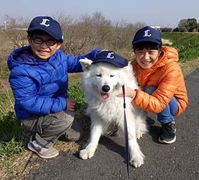 dote_i1804011.jpg