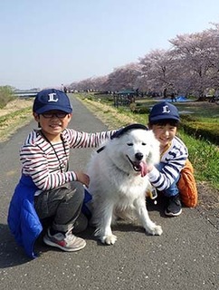 dote_i1804013.jpg