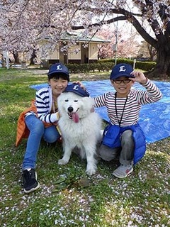 dote_i1804014.jpg
