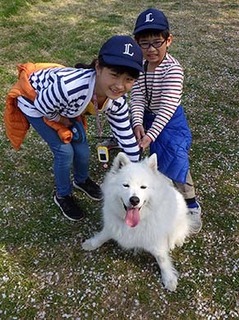 dote_i1804015.jpg