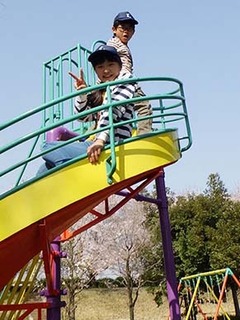 dote_i1804016.jpg