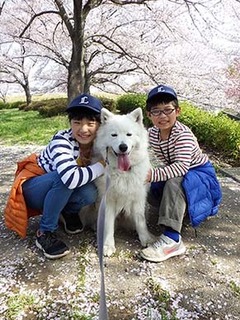 dote_i1804017.jpg