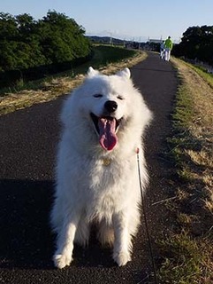 dote_i1806011.jpg