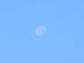 dote_i1806032.jpg