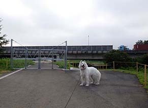 dote_i18072411.jpg