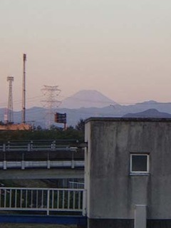 dote_i1810023.jpg
