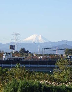 dote_i1811151.jpg