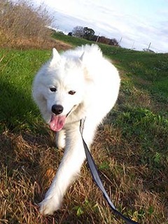 dote_i18120811.jpg
