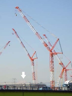 dote_i1903096.jpg