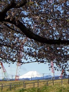 dote_i19041110.jpg
