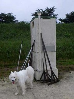 dote_i1907044.jpg