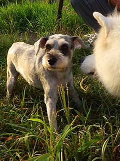 dote_i19081310.jpg