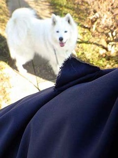 dote_i2001065.jpg