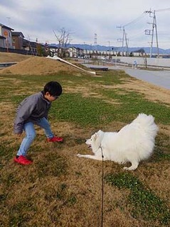 dote_i2001124.jpg