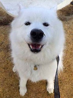 dote_i2001125.jpg