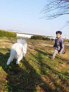 dote_i2001134.jpg