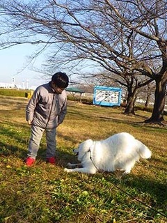 dote_i2001135.jpg