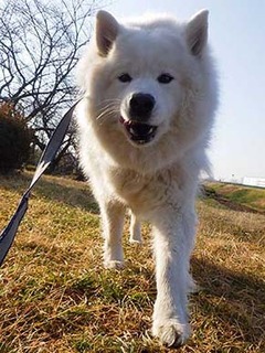dote_i2001143.jpg