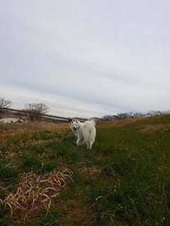 dote_i2001174.jpg