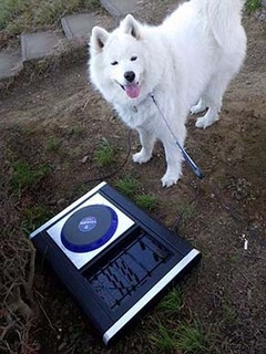 dote_i2002023.jpg