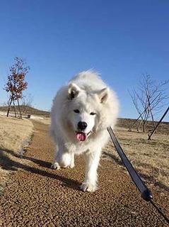 dote_i2002042.jpg