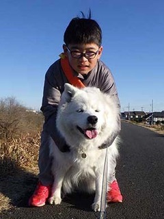 dote_i2002112.jpg