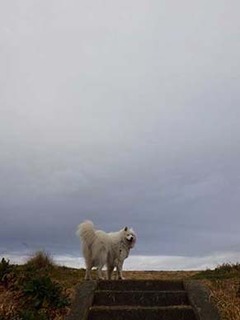 dote_i2002131.jpg