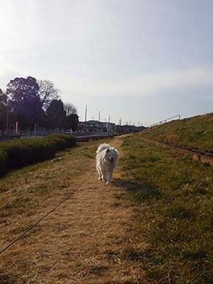 dote_i2002144.jpg