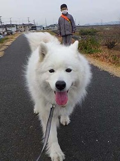 dote_i2002161.jpg
