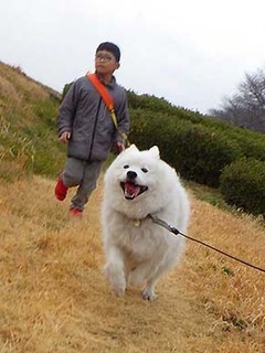 dote_i2002163.jpg