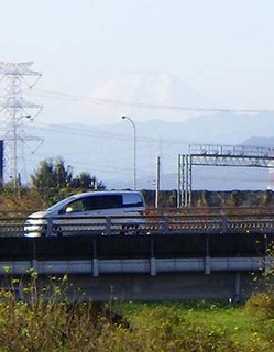 dote_k1711135.jpg