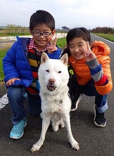 dote_k1711147.jpg