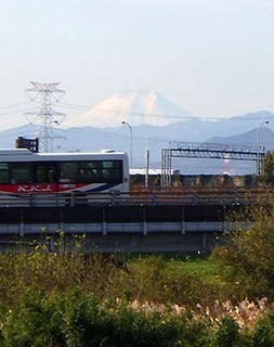dote_k1711172.jpg