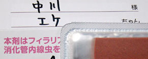 eke100404.jpg