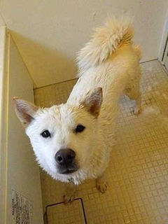 furo2012061.jpg