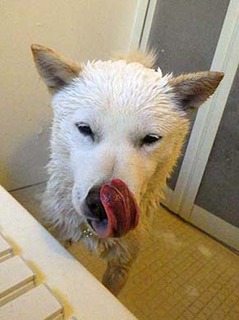 furo2012062.jpg