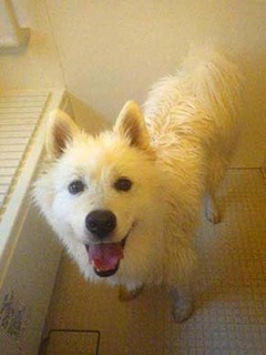furo2012063.jpg