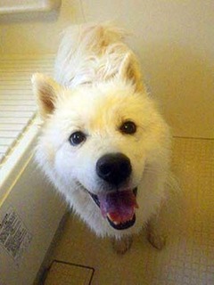 furo2012064.jpg