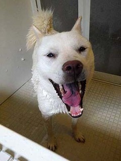 furo_g2107162.jpg