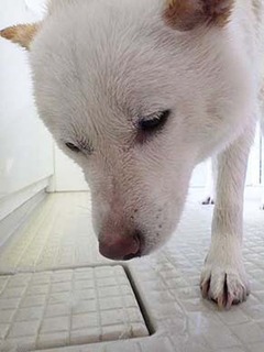 furo_g250612b.jpg