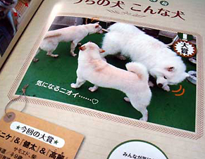 gekkanwan130701.jpg