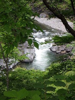genryuu180517.jpg