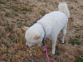 gero__210305.jpg