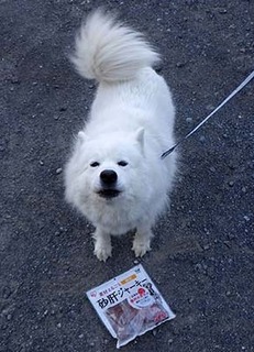 gimo1903011.jpg