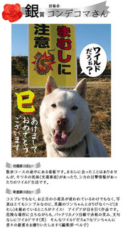 ginsho130218.jpg