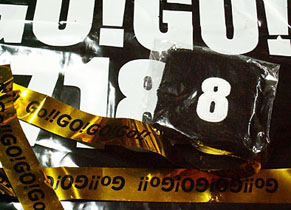 gogo1008231.jpg