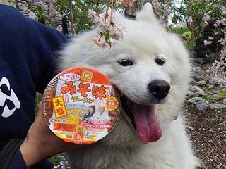 gokigen2104063.jpg