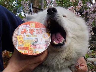 gokigen2104064.jpg