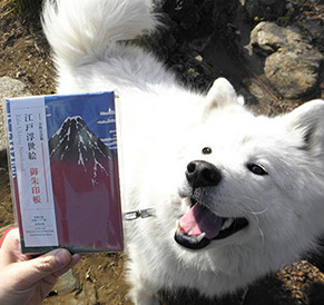 goshuiyo1703121.jpg