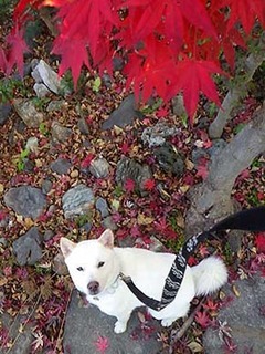 gratia2012224.jpg